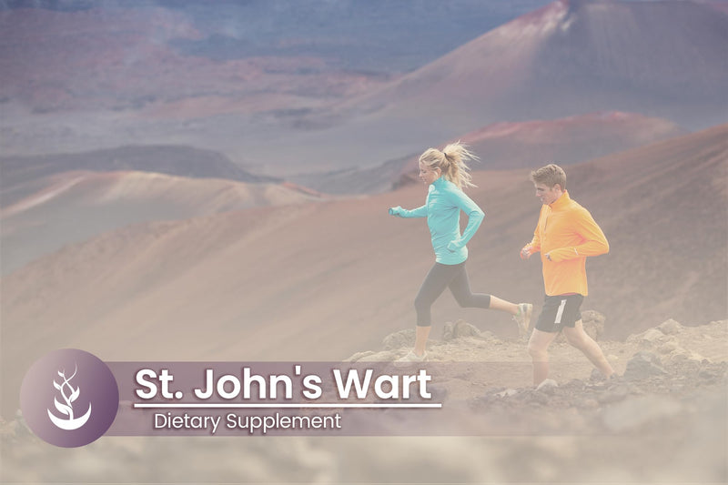 [Australia] - PURE ORIGINAL INGREDIENTS St. John's Wort, (100 Capsules) Always Pure, No Additives Or Fillers, Lab Verified 
