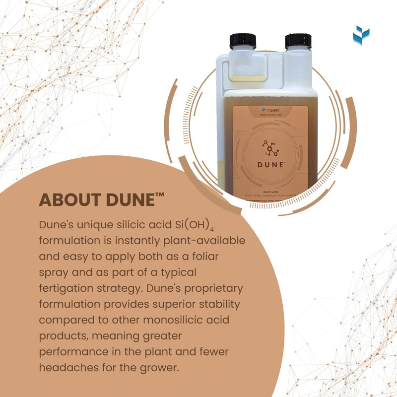 [Australia] - Dune - Bioavailable Silica for Plants ‚Äì Strengthens Cell Walls, Boosts Growth & Stress Resistance ‚Äì Bigger Yields ‚Äì Hydroponic & Soil Compatible - Medicinal, Fruit, Vegetable & Ornamental Growers 