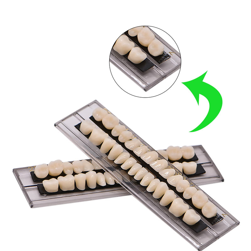 [Australia] - 84 PCS Acrylic Resin Teeth Dental Denture Dental Synthetic Resin Teeth Denture Halloween Horror Prop 23 A2 ((28 Pcs/3 Set)) (28 Pcs/3 Set) 