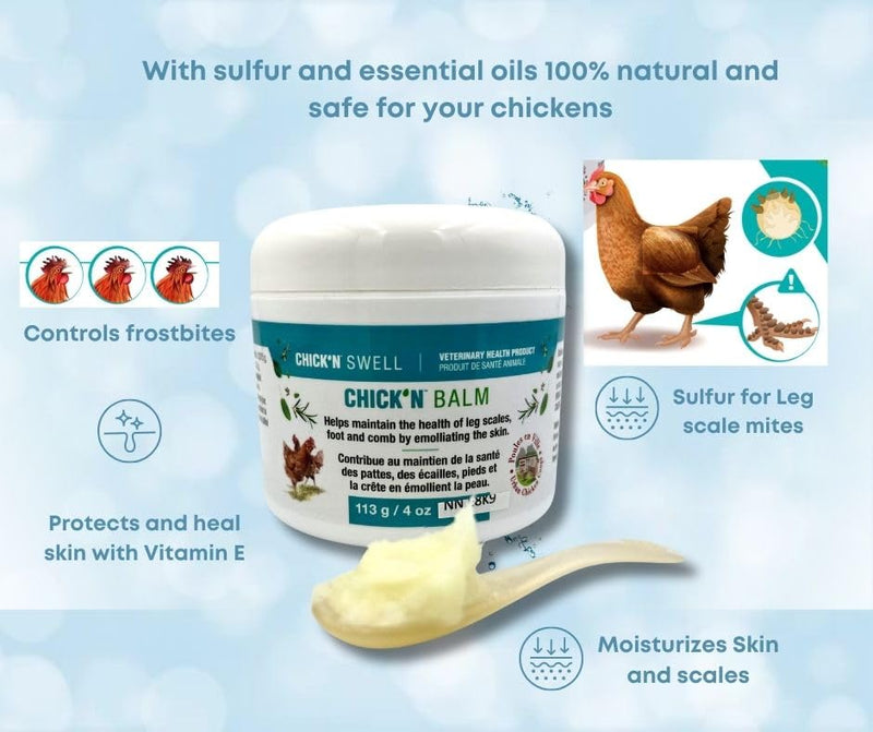 Premium Poultry Balm for Optimal Care and Healing-Chick'n Balm from Chick'n Swell - Legs- Wounds and Combs - with Healing Essential Oils and Sulfur, 4 Oz (113g). - PawsPlanet Australia