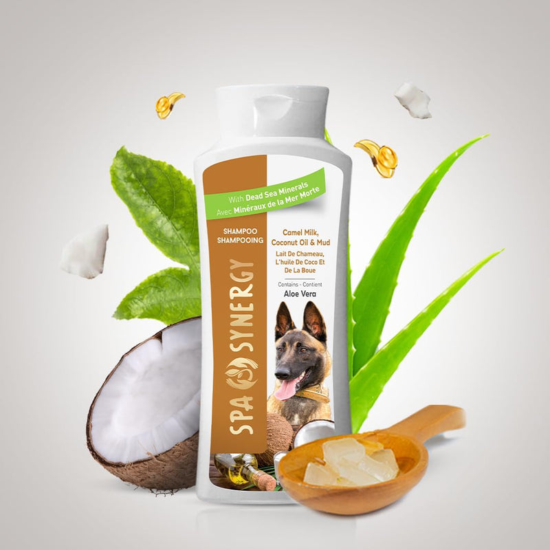 Pet Dog Shampoo Mud and Natural Dead Sea Mineral Rich, Aloe Vera & Vitamin-E, Soothing, Soften, Anti Dandruff, Cleansing- Camel Milk & Coconut Oil - (1) Bottle 16.5 FL OZ - PawsPlanet Australia