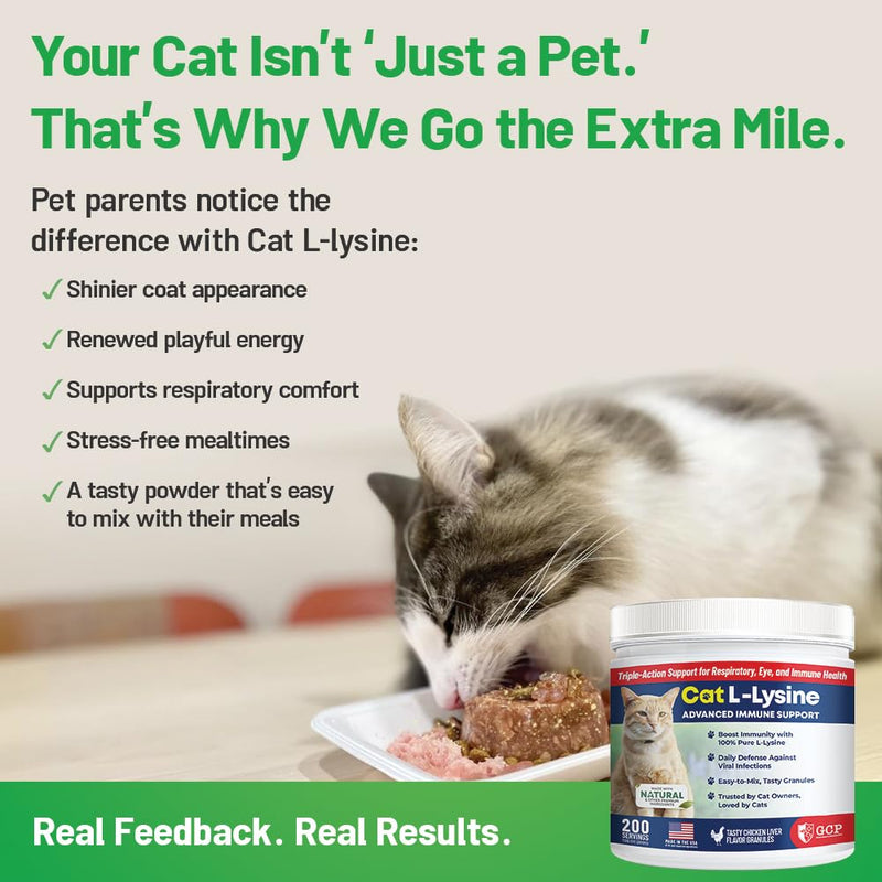 [Australia] - Guardian‚Äôs Choice 250mg L-Lysine for Cats, Advanced Immune Support for Respiratory, Eye & Nose Health, Chicken Liver Flavored Lysine Powder for Kittens & Seniors, 200 Servings 