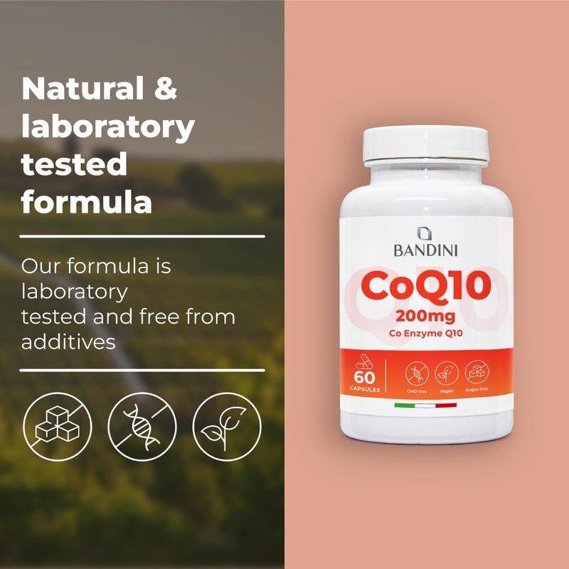 Bandini® CoQ10 200mg | 60 Vegan Capsules of High-Strength Co Enzyme Q10 (2-Month Supply) | Naturally Fermented & Lab Tested Ubiquinone Q 10 | High Absorption Coenzyme Coq 10 Supplement 100% Pure 60 count (Pack of 1)