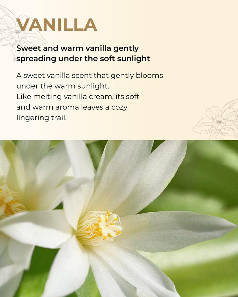 BOM Chiffon Vanilla Perfume Body Lotion 6.76 Fl Oz, Vanilla Scented Body Cream with Hyaluronic Acid, Niacinamide & Vitamin C, Long-Lasting Moisture & Fragrance, Non-Sticky & Smoothing, Korean Skincare