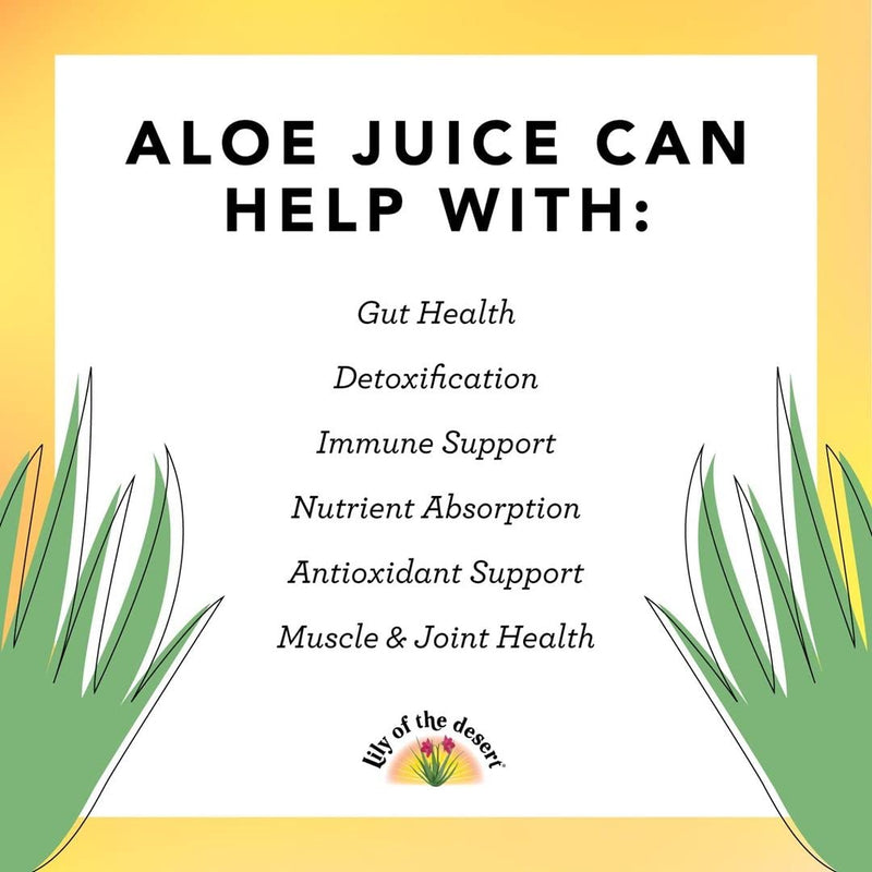 [Australia] - Lily Of The Desert Aloe Vera Juice Drink, Inner Fillet, Vegan Dietary & Immune Support, Gluten Free Liquid Digestive Aid, No Water Added, 16 Fl Oz 1 Count (Pack of 1) 