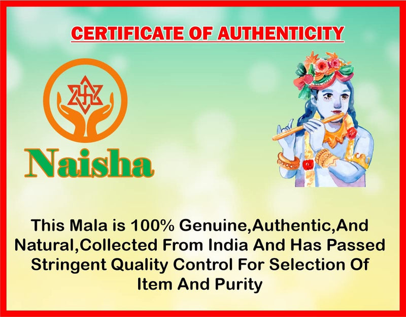 Naisha Tulsi Holy Basil Japa Mala 108+1 Beads & Tulsi Kanthi Mala Tulsi Ki Mala 2 Round Neck Mala Original for Daily Mantra Jaap, (Pack of 2), Wood, rudraksha