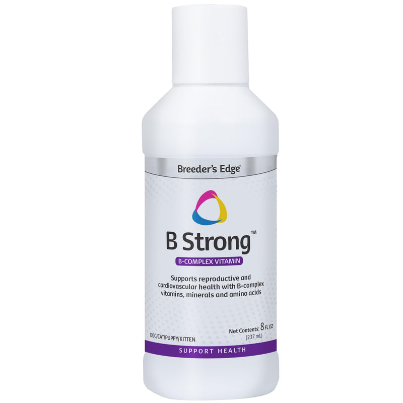 Breeder's Edge B Strong Liquid Vitamin B Supplement for Dogs & Cats, 8 oz | B Vitamins Support Reproductive Health, Normal Heat Cycles, Energy Production, Appetite, Heart Health, Stamina & Vitality 8 oz - Liquid