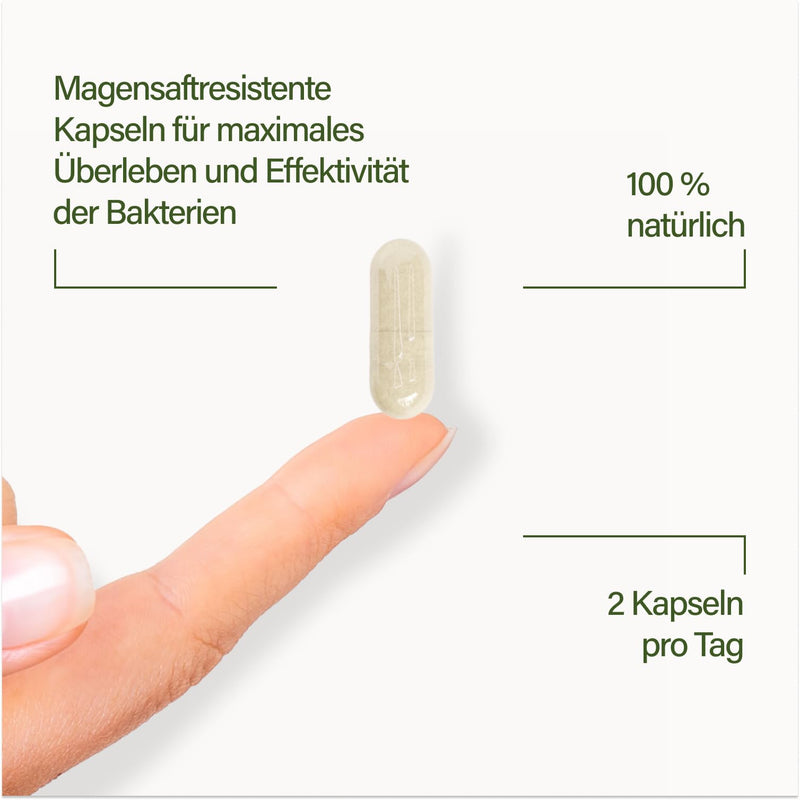 [Australia] - Nupure® Probaflor MAX SPECTRUM N95 600 billion CFU/g, 95 bacterial strains, largest bacterial strain spectrum, with Lactobacillus & Bifidobacteria, 95 billion CFU, enteric-coated, 80 capsules, 80 pieces (pack of 1) 