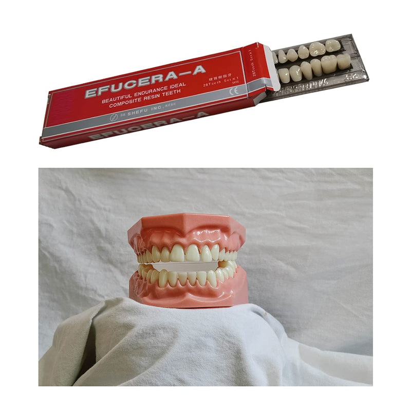 [Australia] - 56 pieces false teeth dental complete acrylic resin dentures, 2 sets whole teeth synthetic polymer dentures tooth, 23 color shades A2 upper + lower dental materials for replacement, DIY or Halloween 