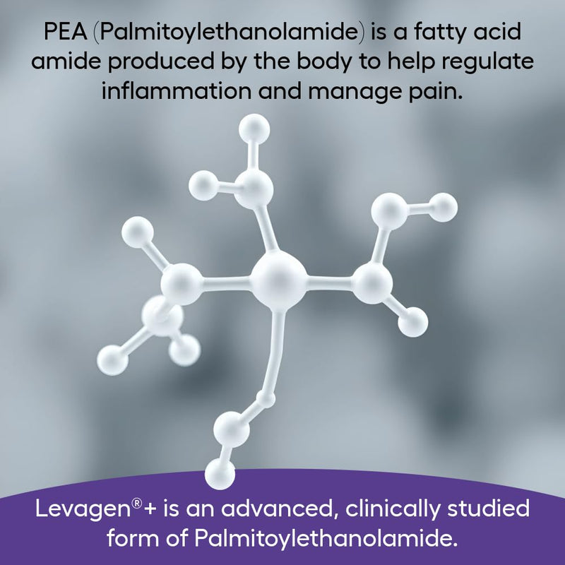 Liposomal Pea Supplement Palmitoylethanolamide Levagen+® | High Strength Liquid Formula | LLP2 | Enhanced Bioavailability | 48 Days | Cognitive Health | Muscle Recovery | Joint Pain and Inflammation