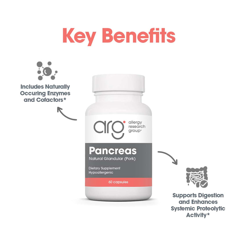 [Australia] - Allergy Research Group Pancreas Pork Supplement - Pancreas Natural Glandular, 425mg Pancreatic Enzymes, Digestive Enzymes Amylase, Protease - 60 Count 60 Count (Pack of 1) 