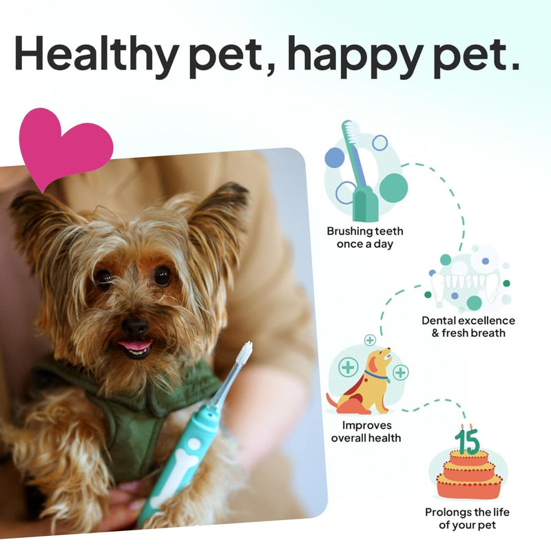 Dog Toothbrush | Innovative Eletrolytic Technology | Improves Oral Health & Reduces Bad Breath | No Vibrations & Silent Teeth Cleaning Brush | No Toothpaste Needed | Dog Teeth Cleaning Kit Green Small - PawsPlanet Australia