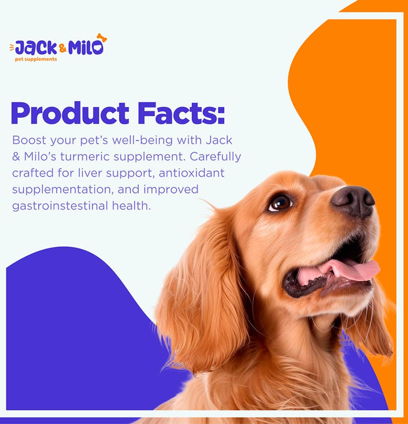 Supplement Anti Inflammatory for Dogs with Turmeric, Hip, and Joint - Dog Arthritis Pain Relief, Support for Mobility & Wellness, USA Made-GMP Certified, Non-GMO, 120 Tablets - Jack & Milo Anti-Inflammatory - PawsPlanet Australia