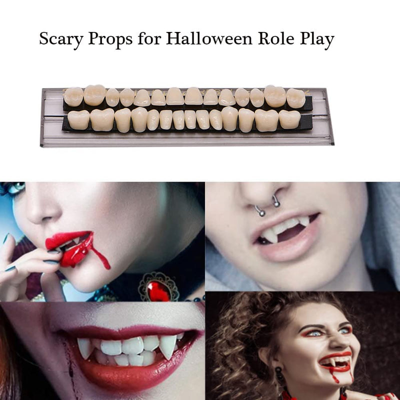 [Australia] - 56Pcs Dental Synthetic Acrylic Teeth Resin Denture False Teeth for Halloween Horror Prop 23 A2(28 Pcs/Set) 