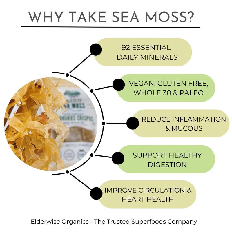 Irish Sea Moss, Wildcrafted, Organic Raw Chondrus Crispus, Makes 30oz Gel | Golden Irish Sea Moss From Ireland | Rinse and Soak Whole Leaf Sea Moss, Blend Gel for Smoothies, Drinks, Soups, or Sauces 1.23 Ounce (Pack of 1)