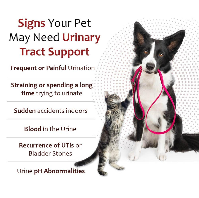 [Australia] - K-Plus Gel for Dogs and Cats ‚Äì Potassium Citrate & Cranberry Supplement for Kidney Support, Urinary Tract Health, UTI Relief, Stone Prevention, Electrolyte Balance, Muscle & Heart Function ‚Äì 5 oz 1-Pack 