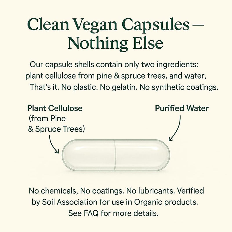 Organic Whole Food Multi Vitamin & Mineral Supplement - Vegan