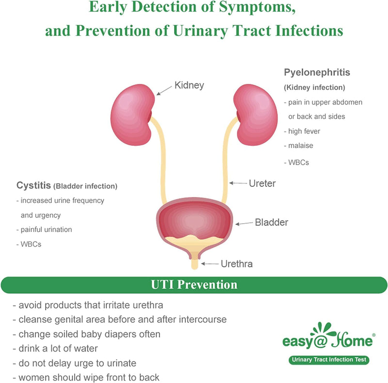 Easy@Home 20 Individual Pouches Urinary Tract Infection FSA Eligible Test Strips (UTI Test Strips) Monitor Bladder or Urinary Tract Issues by Testing Urine, 20 Tests/Box-FDA Cleared (UTI-20P) | Individual Packing Urinary Tract Infection Test Strips Mon...