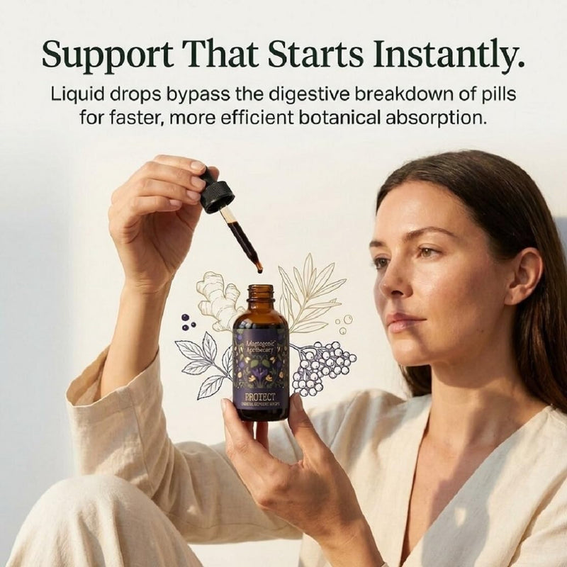 Protect – Seasonal Botanical Glycerite Drops with Elderberry, Holy Basil, Maitake, Olive Leaf & Ginger | Alcohol-Free | 50ml, 25 Servings | UK-Made, Vegan