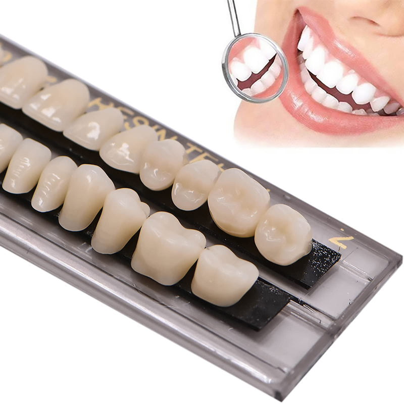 [Australia] - 84 PCS Acrylic Resin Teeth Dental Denture Dental Synthetic Resin Teeth Denture Halloween Horror Prop 23 A2 ((28 Pcs/3 Set)) (28 Pcs/3 Set) 