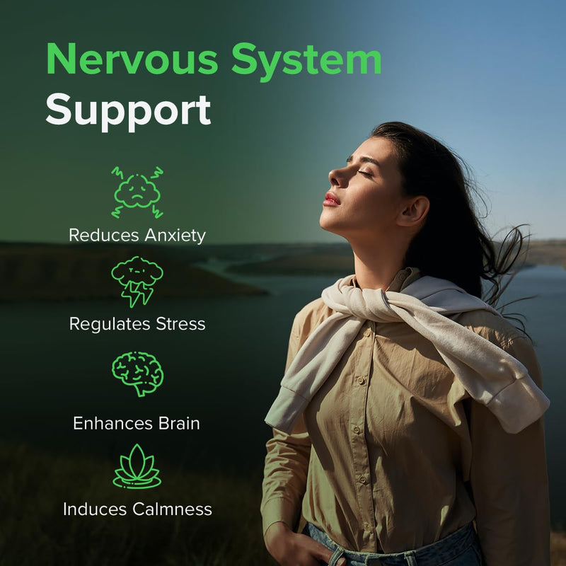 [Australia] - Rhodiola Rosea Capsules High Strength - Herbal Stress Relief Supplements - Rhodiola Vegan Supplements - Mood Support, Stress Management, Brain Supplement from Raw Powders (240 Capsules) 240 Pieces (Pack of 1) 