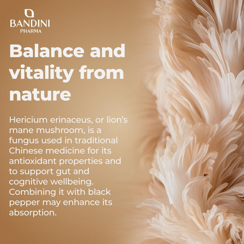 Bandini® Lions Mane Mushroom 2000mg - 365 High Strength Vegan Tablets 1 Year Supply - Hericium Erinaceus 25:1 Extract with Black Pepper - 50% Polyphenols - Lion's Mane Alternative to Powder & Capsules