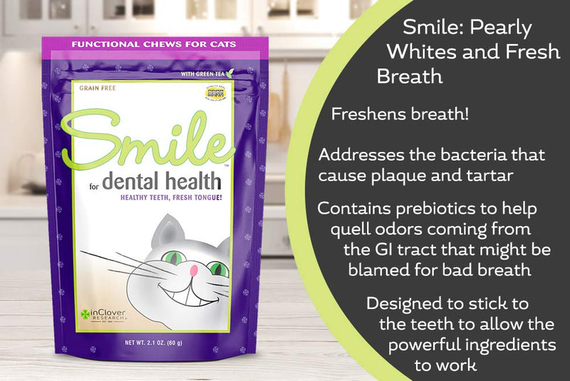 In Clover Smile Daily Dental Health Soft Chews for Cats, Support Healthy Teeth and Fresh Tongue with Catnip and Green Tea, Prebiotics, and Chlorophyll for Fresh Breath 2.1 oz (60g) - PawsPlanet Australia
