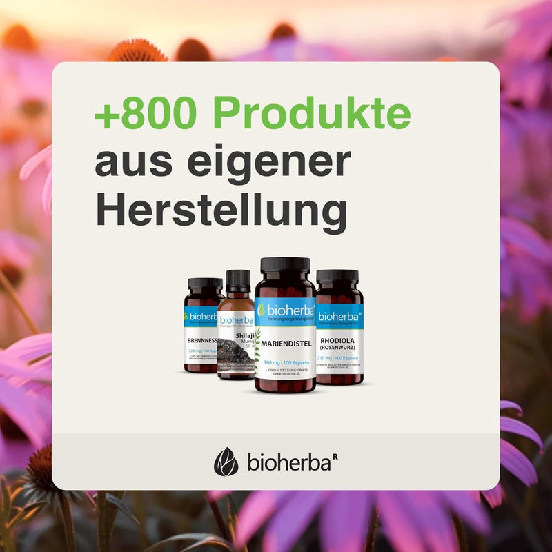 [Australia] - BIOHERBA 2 prostate herbal formula drops - 100ml tincture - supports macronutrient, acid-base and carbohydrate metabolism, vegan - with zinc and plant extracts - PZN 18215818 2 pieces 