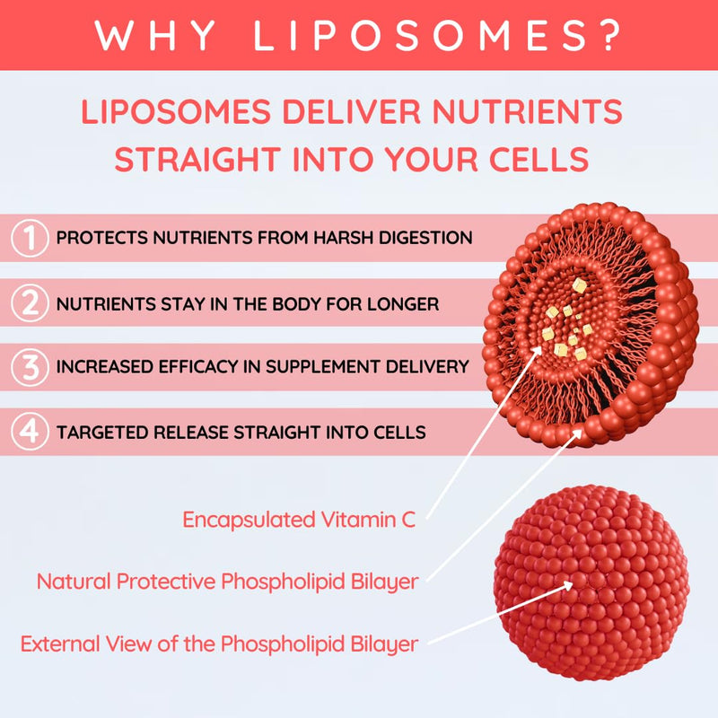 Liposomal Vitamin C 1000mg – High Strength Liquid VIT C Supplement - Immune System, Skin, Collagen, Brain & Energy Support - Vegan, 150ml - 30 Servings | Fruit Fusion 150ml Fruit Fusion