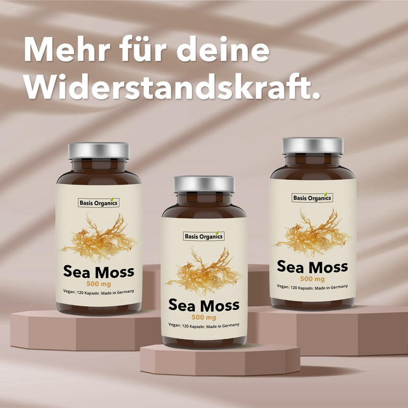 [Australia] - Sea Moss capsules from the alga Irish Moss - 100% natural cartilage kelp, sea moss from wild collection - Stimulates hair growth - Produced & laboratory tested in Germany - 120 capsules (60 days) 