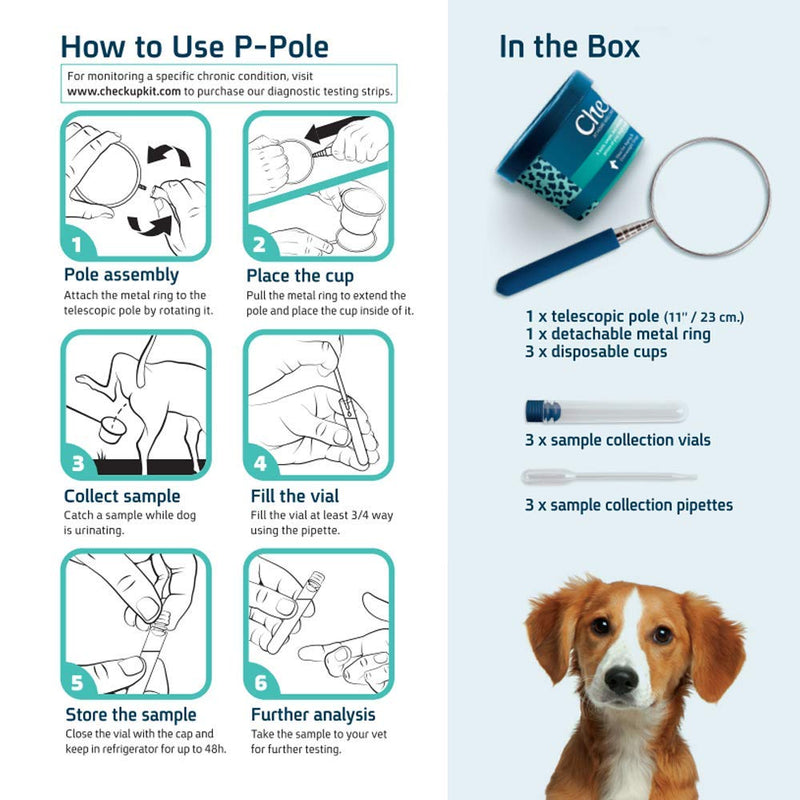 CheckUp Dog P-Pole Sample & Test UTI Bundle - P-Pole Telescopic Pole, Cup, Pipette and Vial for Dog Urine Collection with CheckUp pH, Leukocytes, and Nitrite Levels Testing Strips x 50