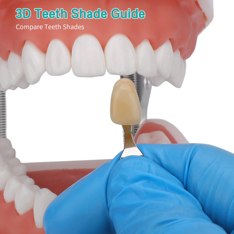 [Australia] - Dental Shade Guide Professional 3D R-20 Tooth Whitening Shade Chart with 20 Colors Teeth Shade Guide with Mirror 
