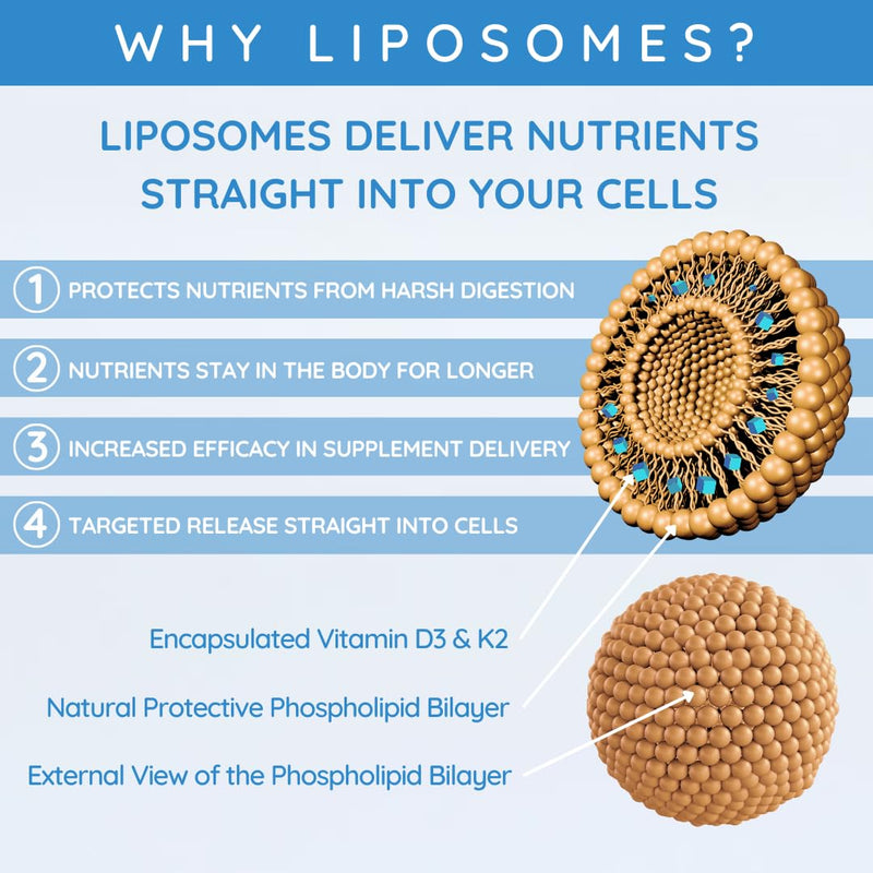 Liposomal Vitamin D3 4000 IU + K2 MK-7 160mcg Liquid Drops - High Strength Vegan VIT D3 K2 Supplement - Immune & Bone Support - 120 Servings | Summer Citrus