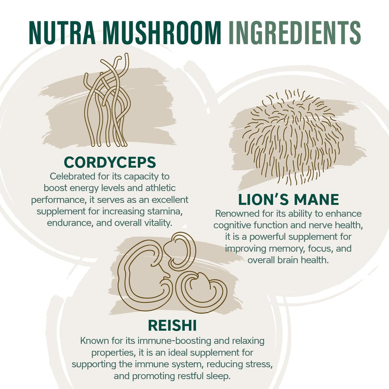 NutraMushroom - Comprehensive Mushroom Complex, with 6000mg of Shiitake, Maitake, Reishi, Chaga, Cordyceps and Lion’s Mane - with Added Vitamin C, D & Zinc - NutraVit, 30 Capsules