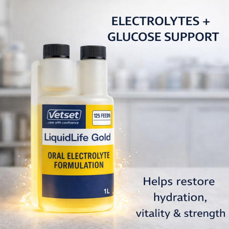 LiquidLife Gold |Foal & Calves Electrolyte Solution |Oral Rehydration & Energy Supplement for Calves, Lambs & Pigs |Restores Fluids, Salts & Vitality After Dehydration, Scours or Stress 1 Litre