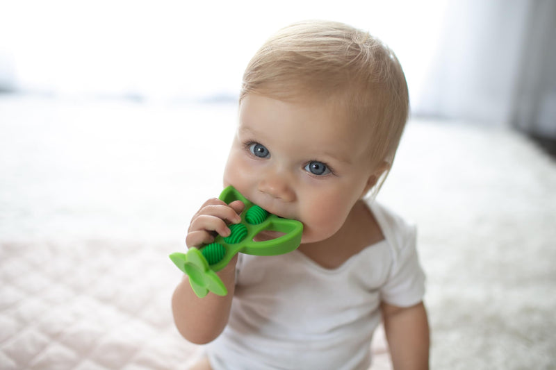 [Australia] - Dr. Brown's Peapod Teether and Training Toothbrush, Soft and Safe for Baby Gums and First Teeth, BPA Free, 100% Silicone, 3m+ Peapod Toothbrush/Teether 