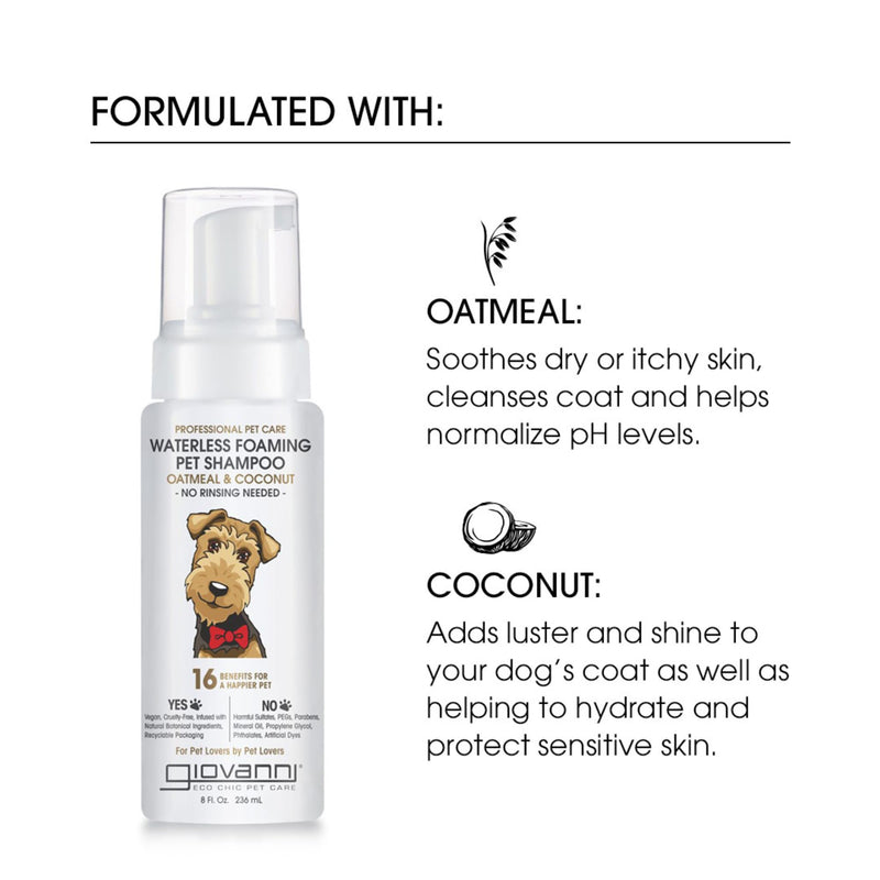 GIOVANNI Professional Foaming Waterless Pet Shampoo - Oatmeal & Coconut Helps Neutralize Odors, Cleanses, Silkens, Controls Static, Freshens Fur - 8 oz 8 Fl Oz (Pack of 1) - PawsPlanet Australia