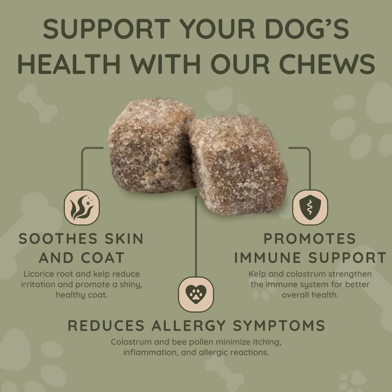 Asher House Wellness Dog Allergy Chews - All-Natural Itchy Skin Relief for Dogs with Bee Pollen, Colostrum - Licking Paw Treatment, Allergy Medicine for Dogs Over 12 Weeks, 120 Chews - PawsPlanet Australia