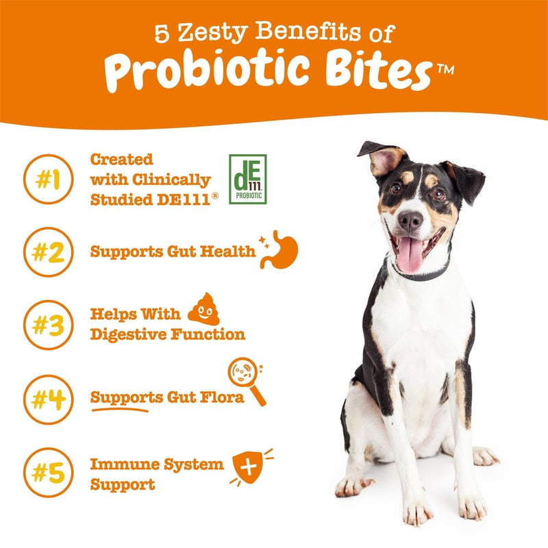 Probiotic Bites Soft Chews, Digestive Probiotics for Gut Flora & Immune Support for Dogs, Pumpkin Flavor 60 Count - PawsPlanet Australia