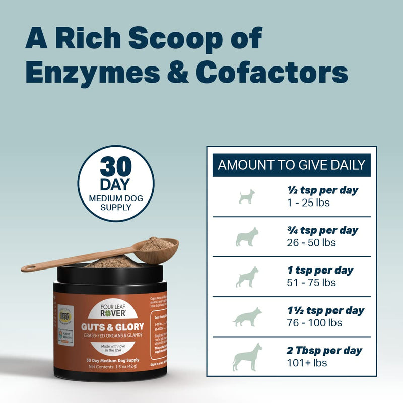 Guts & Glory - Freeze Dried Organs for Dogs - with 100% Grass-Fed New Zealand Beef - Rich in Minerals - Veterinarian Formulated - 30 Large Dog Servings - PawsPlanet Australia