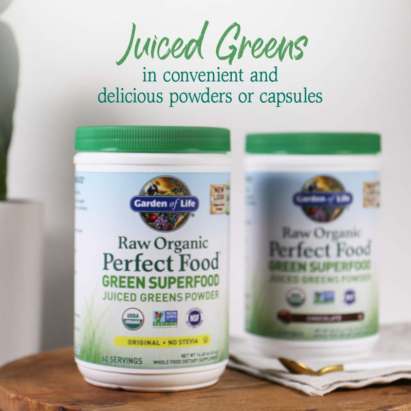 Garden of Life RAW Organic Perfect Food Juiced Greens Powder, 60 Servings Original 1.06 Pound (Pack of 1)