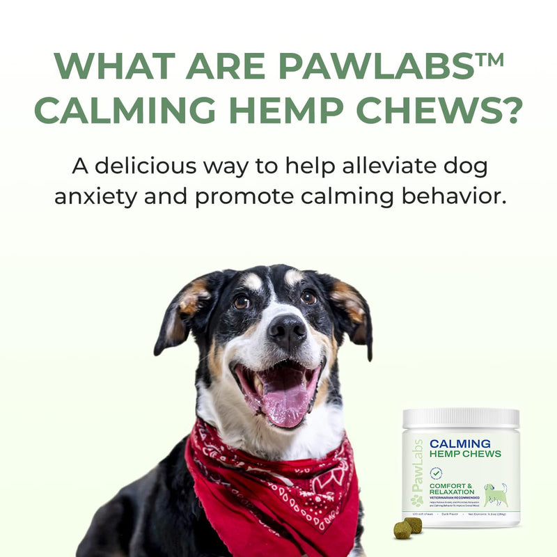 Calming Hemp Chews for Dogs - Relieve Anxiety & Stress - Organic Hemp, Chamomile, Protein Powder, Valerian Root - Natural Calming Aid - Vet Formulated, USA Made - Duck Flavor - 120 Count - PawsPlanet Australia