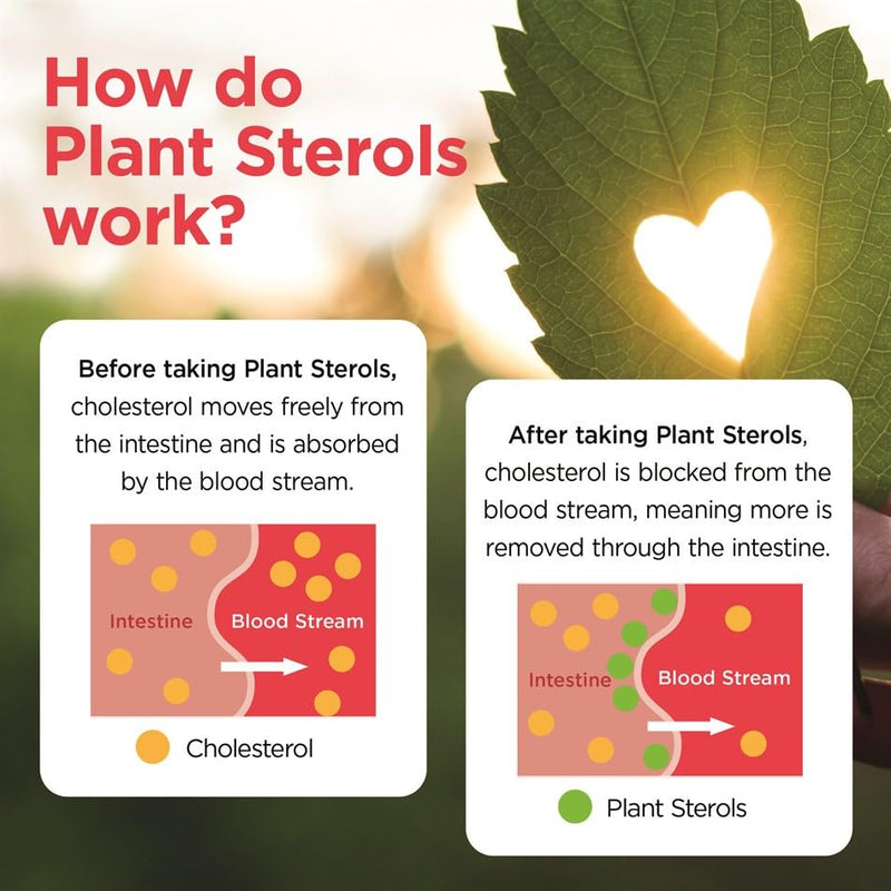 VITA PHARMA Plant Sterols 1000mg 365 Tablets, Healthy Cholesterol Levels, Balanced Lipid Levels, Circulatory Health, Heart Wellness