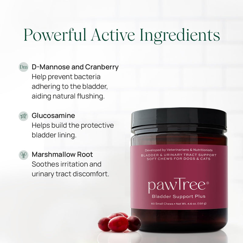 pawTree Bladder Support Plus for Dogs and Cats - Bladder & Urinary Tract Wellness Supplement - with D-Mannose, Cranberry, Glucosamine and Marshmallow Root to Support Bladder Health (Small/Medium) Small/Medium - PawsPlanet Australia