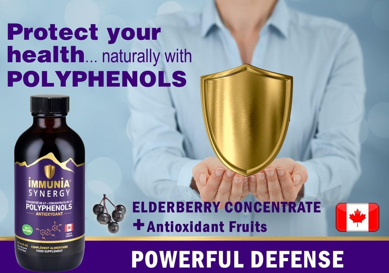 Synergy. Elderberry Supplement for Immune System Support - Powerful Natural Antioxidant. POLYPHENOLS Concentrate. Elderberries from Canada (1-Pack) 1 count (Pack of 1)