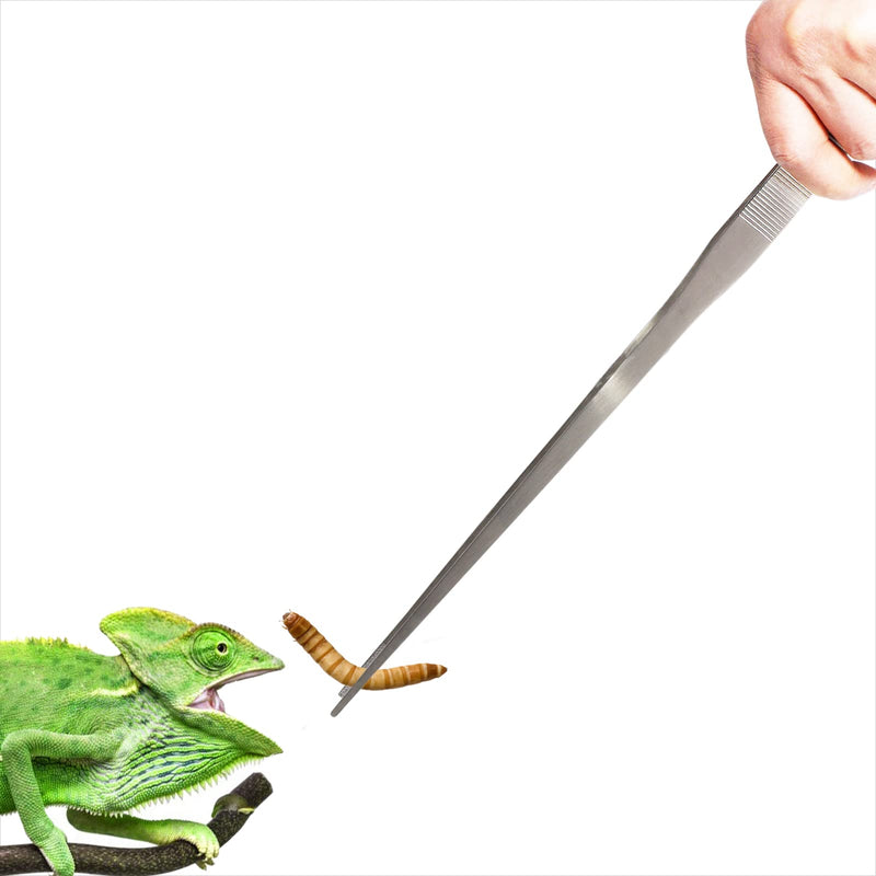 18.9 inch Heavy Duty Extra Long Tweezers for Salt & Fresh Water, Straight 18/8 Stainless Steel Reptile Feeding Tongs for Aquarium & Terrarium, Large Metal Snake Feeding Tweezers 18.9 inch, 2.5mm, straight