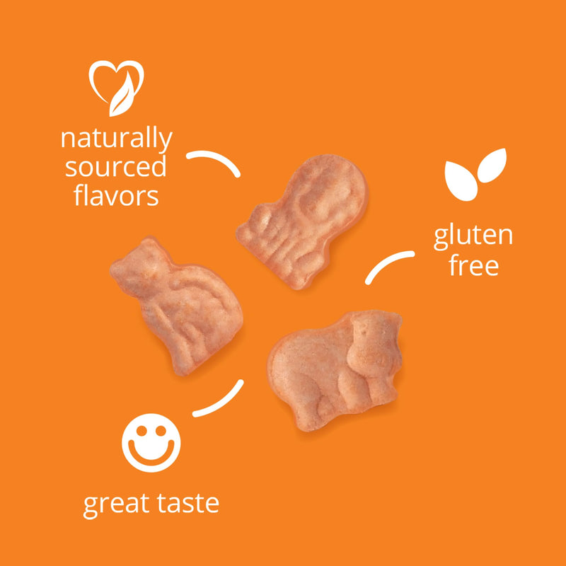 21st Century Zoo Friends Kids Multivitamin with Extra C, 60 Count | Children's Chewable Multivitamin with Extra Vitamin C & Antioxidants, Daily Nutrition & Immune Support, Kids Love Them 1