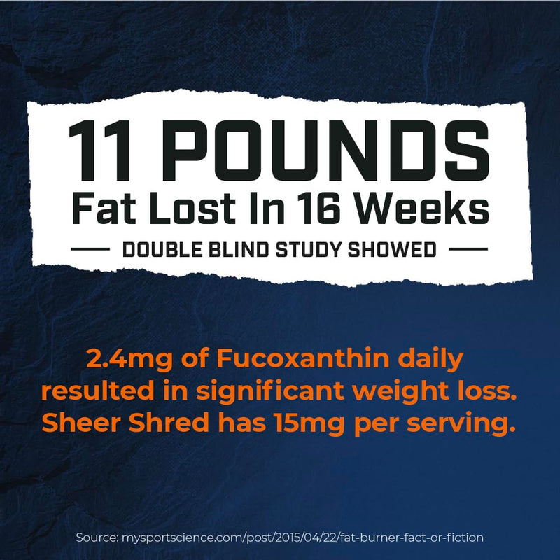 [Australia] - Thermogenic Capsaicin & L-Carnitine Premium Supplement for Men, Jitter-Free Blend of Capsaicin, Rauwolscine, Forskohlii, L-Carnitine & L-Theanine Supplement - 30SV 