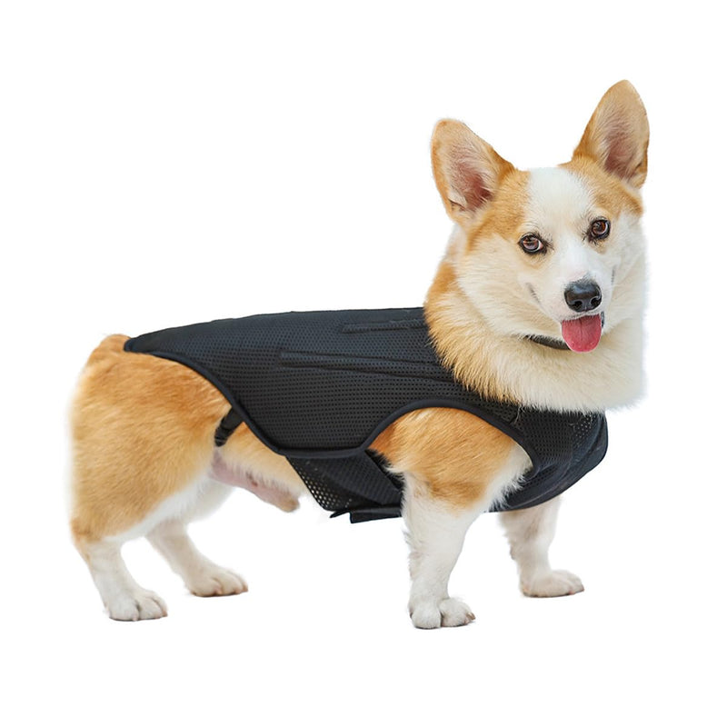 IVDD Back Brace for Dogs, Flexible Pet Dachshund Back Supporting Vest, Dog Back Bracer for Small Pet with Arthritis, Back Pain,Herniated Disc,Spinal Surgical Recovery (M) Medium - PawsPlanet Australia