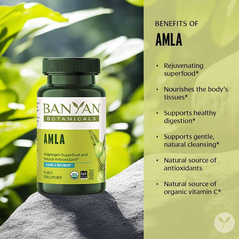 [Australia] - Banyan Botanicals Amla (Amalaki) Tablets – Organic Emblica Officinalis – Natural Source of Vitamin C and Antioxidants – Supports Digestion and Cleansing* – 90 Tablets – Non GMO Sustainably Sourced 